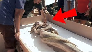 10 REAL LIFE MERMAIDS Caught On Camera [upl. by Alejoa664]