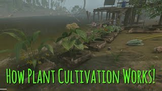 Everything You Need To Know About Plant Cultivation  Green Hell [upl. by Ellennahc]