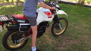 1983 Yamaha XT600 34L Tenere starting [upl. by Dottie288]