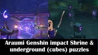 Araumi Genshin impact Shrine amp underground puzzlesCleansing defilement Quest location [upl. by Labors]