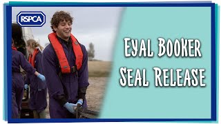 Eyal Booker releases rehabilitated seals [upl. by Waldon342]