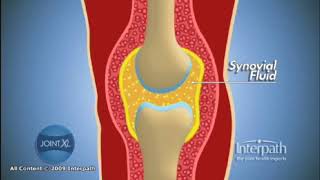 Synovial Fluid [upl. by Loresz]