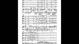 Brahms Deutsches Requiem 3rd movement Soprano [upl. by Cahilly]