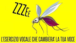 L ESERCIZIO CHE CAMBIERA LA TUA VOCE IN 5 MINUTI [upl. by Esinel]