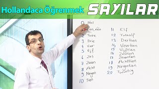 Hollandaca öğrenmekSayılar Sıfırdan Başlayarak learn dutch [upl. by Enehpets]