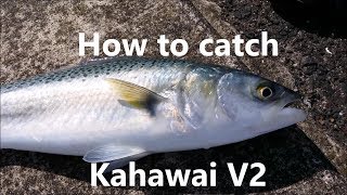 NZ Basic Fishing  Tutorial  How to catch Kahawai V2 [upl. by Tocci422]