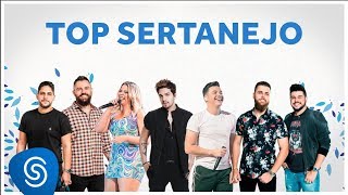 TOP SERTANEJO 2020  As Melhores do ano [upl. by Mccandless569]