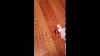 How to remove a sharpie from hardwood floors [upl. by Byrn258]