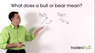 What Does a Bull and Bear Mean in the Stock Market [upl. by Svirad853]