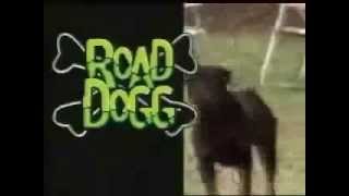 WWE  Road Dogg Jesse James Theme Song Oh You Didnt Know HD [upl. by Kathye794]