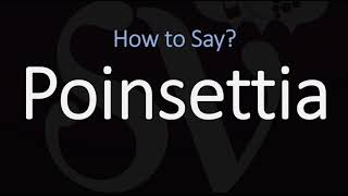 How to Pronounce Poinsettia CORRECTLY [upl. by Stratton189]