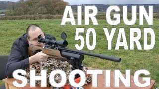 AIR RIFLE  50 YARDS  Daystate Air Wolf MCT Air Gun 177 [upl. by Areem293]