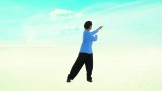 Perth Taichi Academy 18 Taiji Qigong [upl. by Ahsiket739]