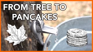 Making Maple Syrup at Home Start to Finish [upl. by Fredenburg]