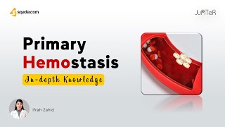 Primary Hemostasis Physiology of Platelets Adhesion and Aggregation  VLearning™ [upl. by Ilohcin]