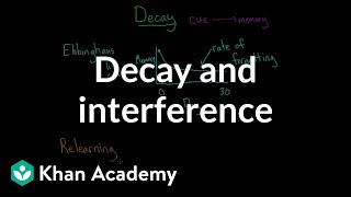 Decay and interference  Processing the Environment  MCAT  Khan Academy [upl. by Ky]