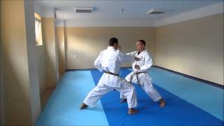 taikyoku shodan bunkai [upl. by Janenna]