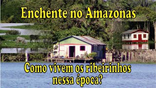 Enchentes do Amazonas  Como vivem os ribeirinhos nessa época [upl. by Eyma]