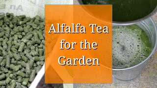 Alfalfa Tea for the Garden [upl. by Stavros]