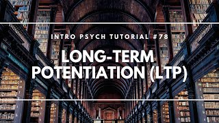 LongTerm Potentiation LTP Intro Psych Tutorial 78 [upl. by Bik353]