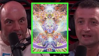 Does Joe Rogan Think the DMT Elves Are Real [upl. by Nylrehc]