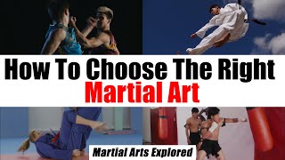 How To Choose The Right Martial Art For You [upl. by Delahk]