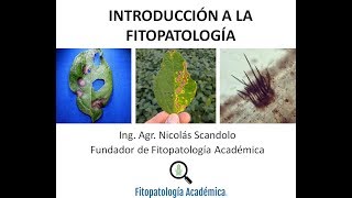 Curso de Fitopatología Clase 1 [upl. by Drahsar897]