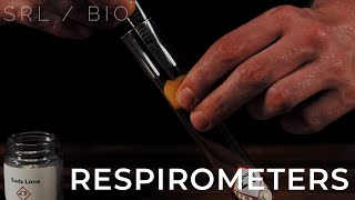 SRL  Bio Respirometers A level  IB biology [upl. by Odradlig]