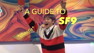 A Helpful Guide To SF9 [upl. by Bowers]