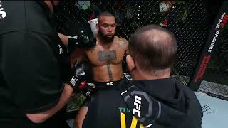 Glover Teixeira vs Thiago Santos [upl. by Assirhc853]