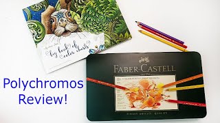 Faber Castell Polychromos 120 Set Coloured Pencils Review  Swatching  Drawing Lovebirds [upl. by Ball455]