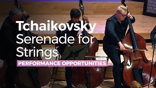 Tchaikovsky  Serenade for Strings in C major Op 48 [upl. by Mccord995]