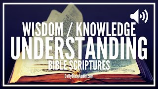 Bible Verses On Wisdom Knowledge and Understanding  Encouraging Scriptures [upl. by Haimes764]