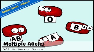 Multiple Alleles ABO Blood Types and Punnett Squares [upl. by Barby519]