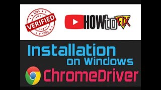 how to download and install chromedriver 2021 on windows  how to fix [upl. by Alig]