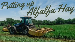 Round Baling Alfalfa In Kansas ENTIRE PROCESS [upl. by Manley134]