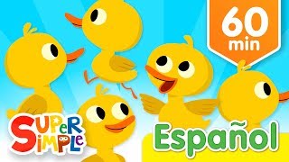 Cinco Patitos Y Más Canciones Infantiles  Música Para Niños [upl. by Savart]