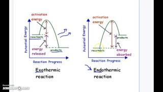 Endothermic Vs Exothermic Reaction Graphs [upl. by Mahla156]