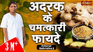 अदरक के चमत्कारी औषधीय गुण  Adrak Ke Fayde  Acharya Balkrishna Ayurveda In Hindi  Sanskar TV [upl. by Nrehtac]