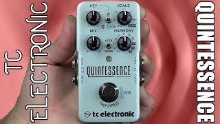 TC Electronic Quintessence Harmony Demo amp Review  Stompbox Saturday [upl. by Yetnruoc]