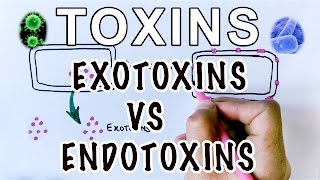 Overview of Toxins  Exotoxins Vs Endotoxins [upl. by Rance]