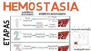 Hemostasia Coagulação do Sangue [upl. by Mahmoud]