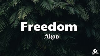 Akon  Freedom lyrics video [upl. by Yelknirb]