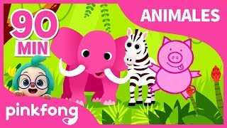 Canciones de Animales para Niños  Animales  Pinkfong Canciones Infantiles [upl. by Viquelia225]