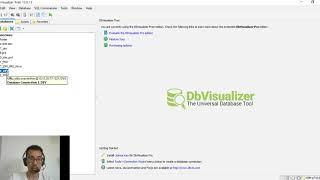 Como usar o DbVisualizer Querys [upl. by Aihsyak]