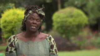 Wangari Maathai amp The Green Belt Movement [upl. by Arihsak]