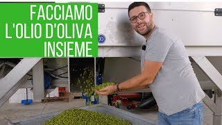 Come fare il VERO olio doliva EXTRAVERGINE [upl. by Fausta]