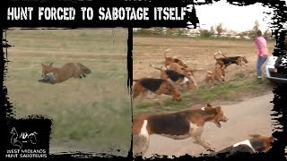 Sabs force hunt to sabotage their own hunt [upl. by Almeeta100]