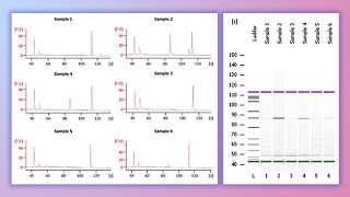 Forensic DNA Profiling Part I [upl. by Seravat]