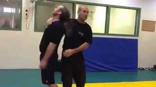 Eyal Yanilov  Krav Maga VIP Protection  Demonstration [upl. by Wedurn]